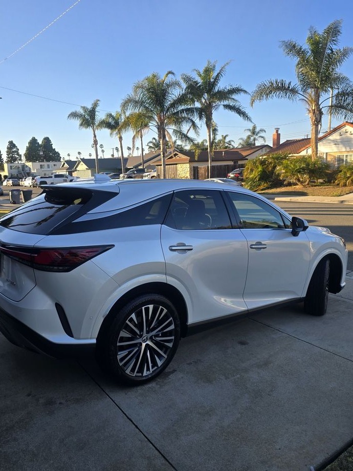Rear view of a white SUV in a driveway with palm trees behind